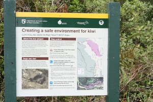 Sign: safe for Kiwi