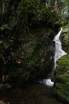 Scholl Creek Falls